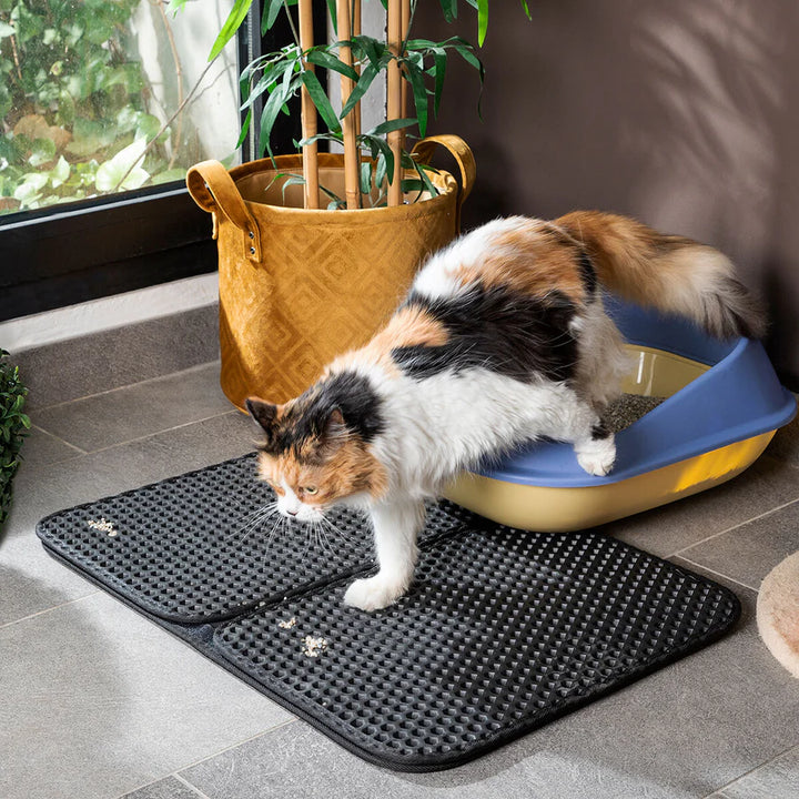 GULVMATTE TIL KATTEDO CLIKATT INNOVAGOODS