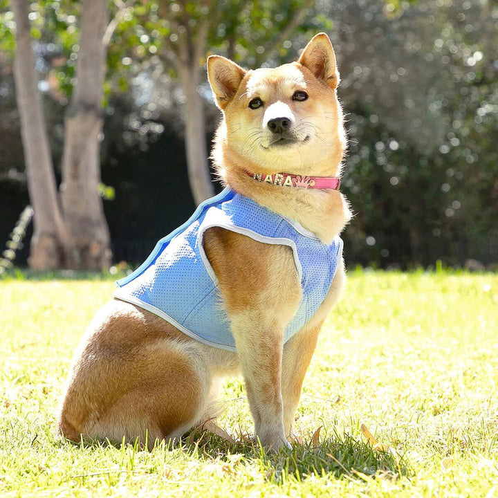 HUNDEVEST INNOVAGOODS IG813888 - www.e-butikken.no